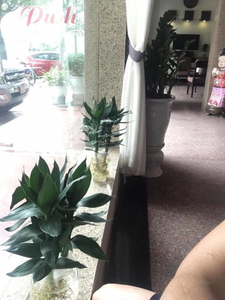 顺化维多利亚7S酒店 外观 照片