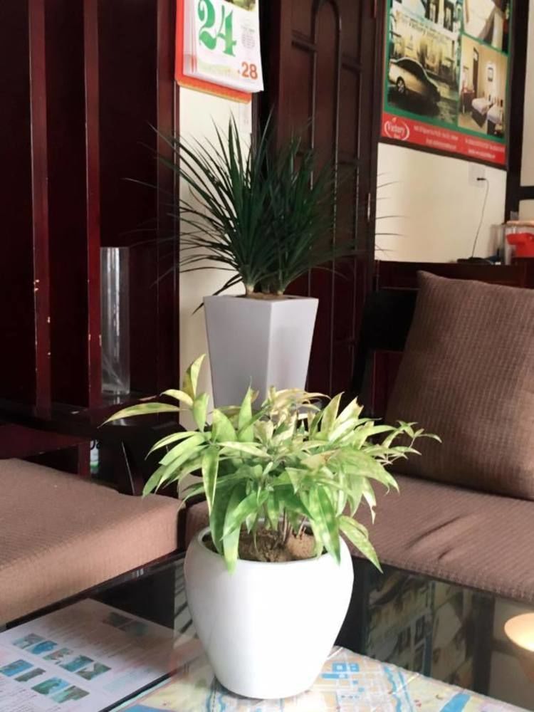 顺化维多利亚7S酒店 外观 照片